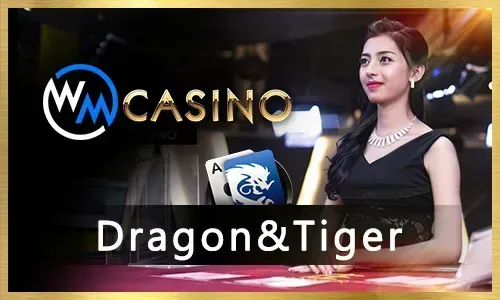 NN777 Casino Games
